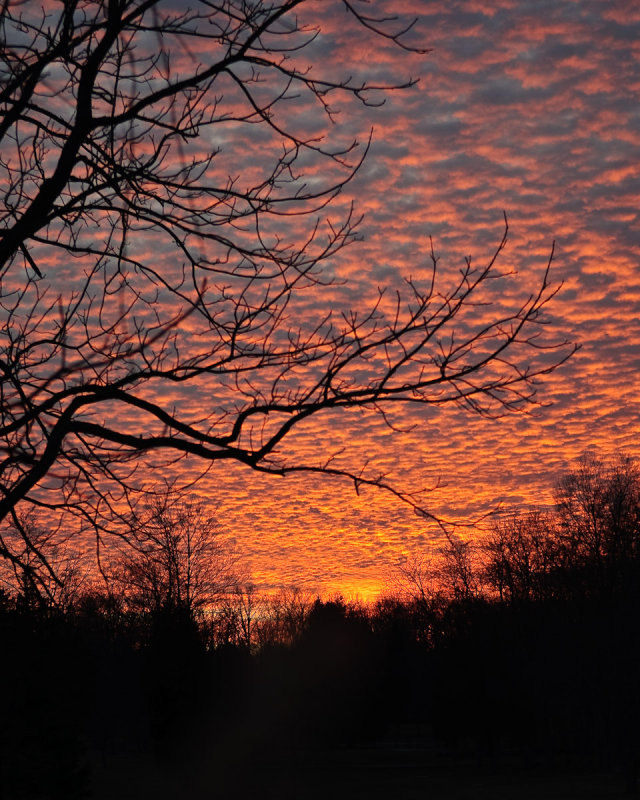 2/1/10 - Fire in the Sky<br><font size=3>ds20100201-0021w.jpg</font>