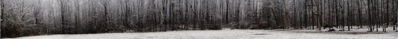ds20091205-0001aw.jpg