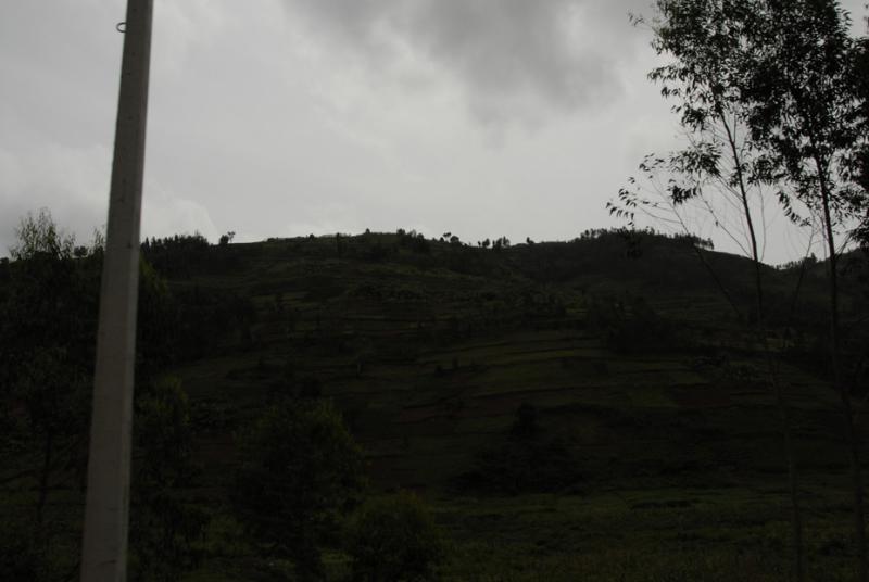 ds20060310 _0079(p).jpg
