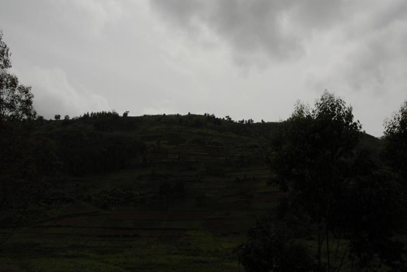 ds20060310 _0080(p).jpg