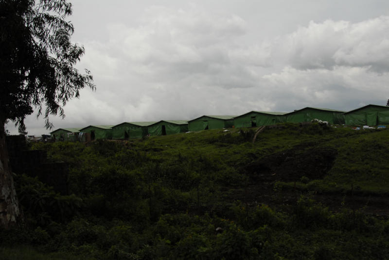 ds20060310 _0183(p).jpg