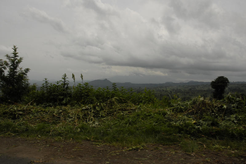 ds20060310 _0200(p).jpg