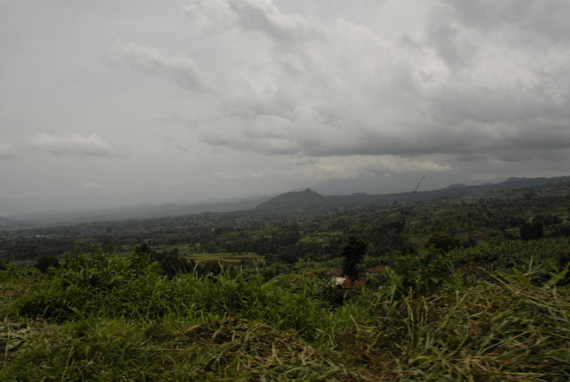 ds20060310 _0201(p).jpg