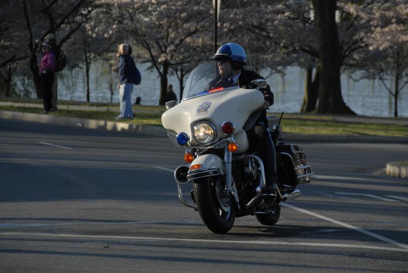 ds20060402b_0098(p).jpg