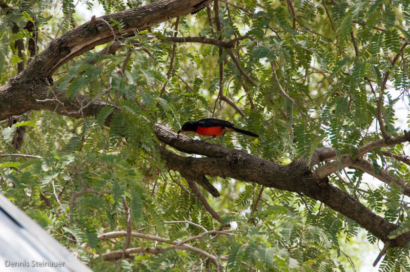 DS20080312_0440_NIKON_D300_w.jpg