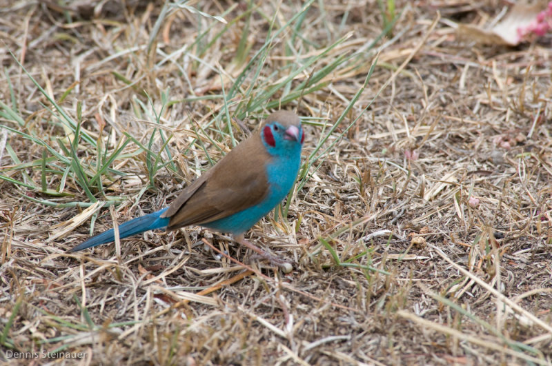 DS20080322_0395_NIKON_D300_w.jpg