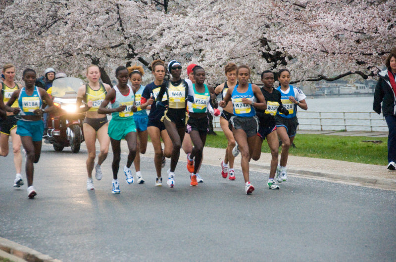DS20080406_0060p.jpg
