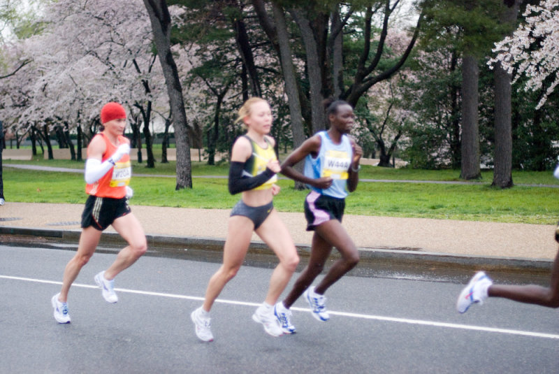 DS20080406_0146p.jpg