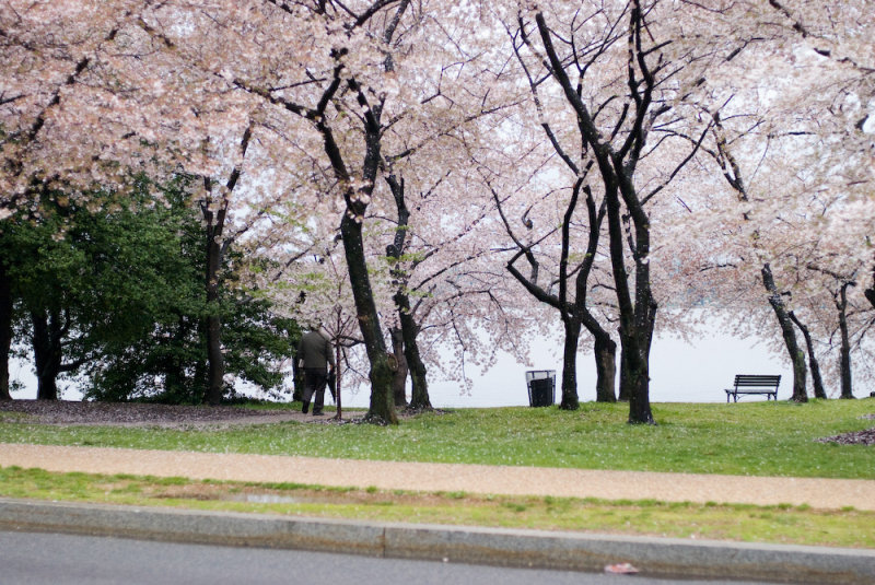 DS20080406_0172p.jpg