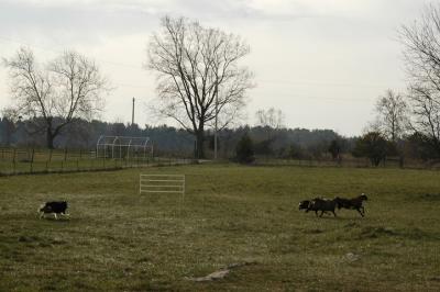 ds20051127_0205(p).jpg