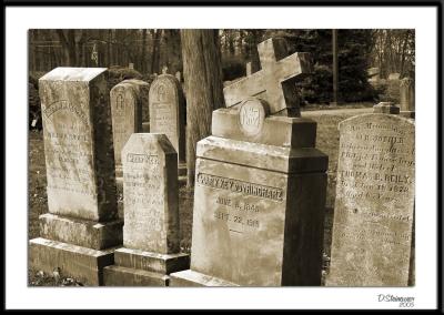 12/5/05 - Getting Crowded in Hereds20051201_0070a2wF Gravestones.jpg