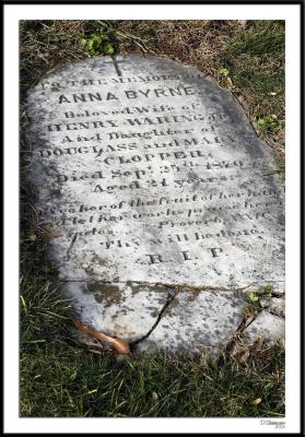 12/4/05 - Lonely Grave<br><font size=3>ds20051201_0077awF Gravestone.jpg</font>