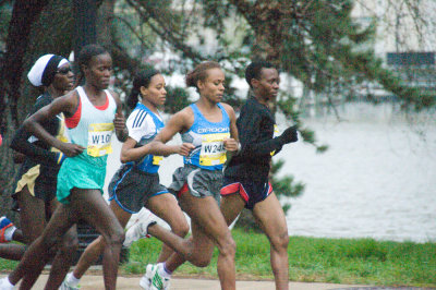 DS20080406_0053p.jpg