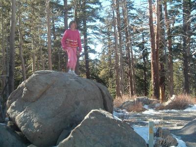 Shelby climbs a rock