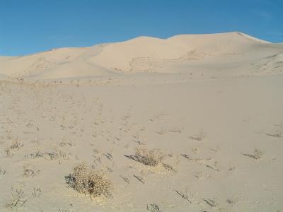 Highest Dunes in Western Hemisphere