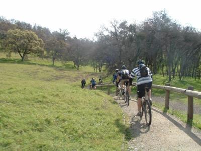 nature trail