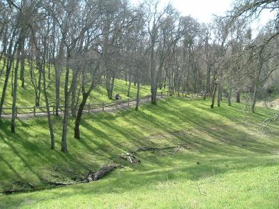 towards campground