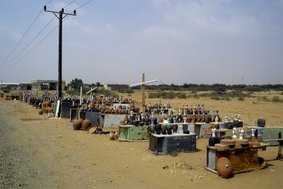 Sabia-Day20.jpg