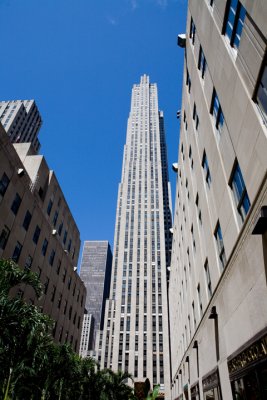 IMG_8290.jpg