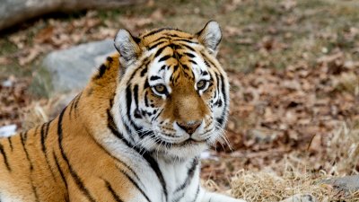 IMG_1513.jpg