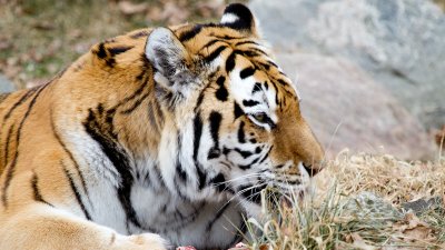 IMG_1608.jpg
