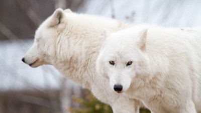 IMG_1738.jpg