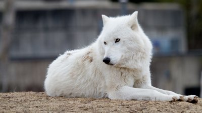IMG_1756.jpg