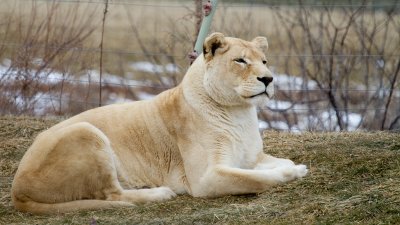 IMG_1895.jpg