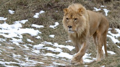 IMG_1941.jpg