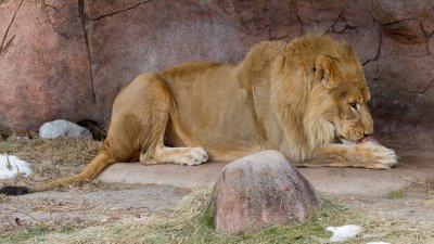 IMG_1971.jpg