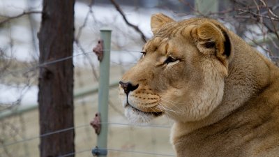 IMG_1977.jpg