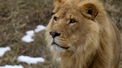 IMG_2086.jpg