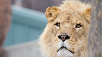 IMG_2097.jpg