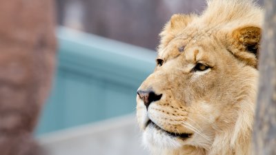 IMG_2098.jpg
