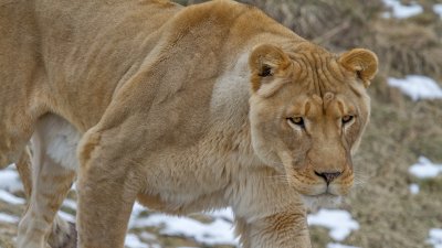 IMG_2183.jpg