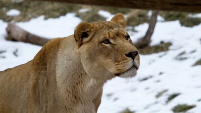 IMG_2227.jpg