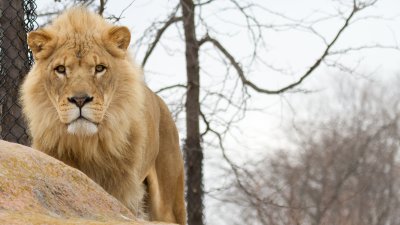 IMG_2338.jpg