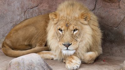 IMG_2385.jpg