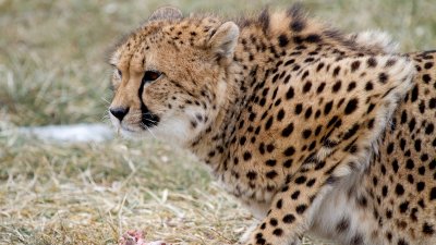 IMG_2432.jpg