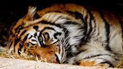 IMG_2899.jpg