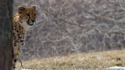 IMG_2944.jpg