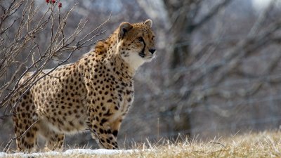 IMG_2946.jpg