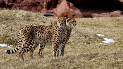 IMG_2954.jpg