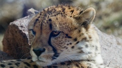 IMG_2998.jpg