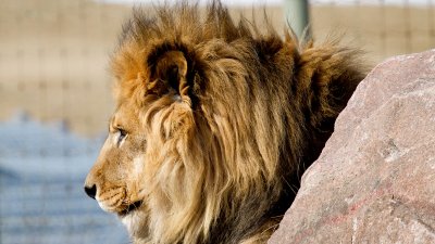 IMG_3054.jpg
