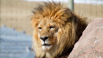 IMG_3060.jpg