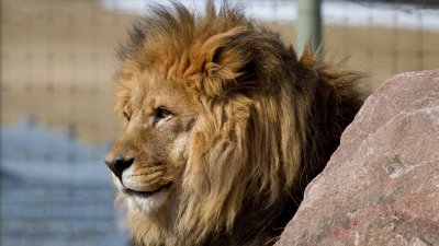 IMG_3063.jpg