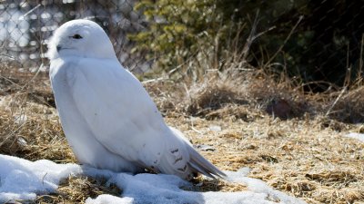 IMG_3178.jpg