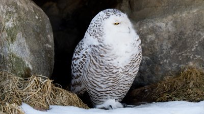 IMG_3209.jpg