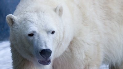 IMG_3240.jpg